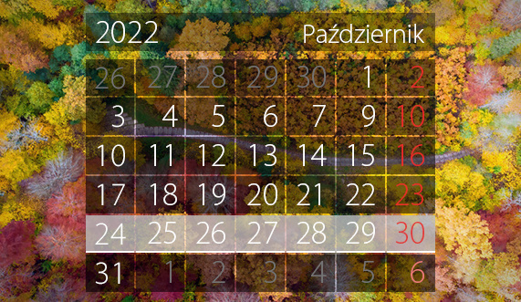 Elbląg, W tym tygodniu portEl poleca: grę miejską i targi skamieniałości Elbląg, W tym tygodniu portEl poleca: grę miejską i targi skamieniałości