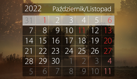 Elbląg, W tym tygodniu portEl poleca: Elbląg na dużym ekranie i koncert EOK