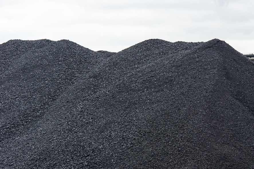 Elbląg, Informacja o zakupie węgla przez mieszkańców