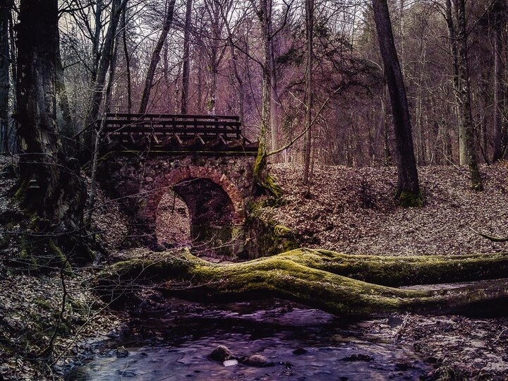 Elbląg, Jest sobota, jest quiz. Zgadnij, gdzie zrobiono te zdjęcia Elbląg, Jest sobota, jest quiz. Zgadnij, gdzie zrobiono te zdjęcia