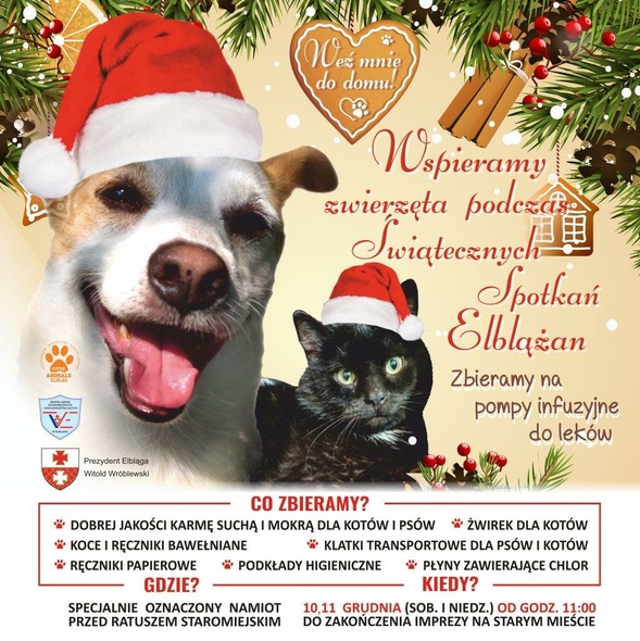 Elbląg, Wspierajmy czworonogi podczas Świątecznych Spotkań Elbląg, Wspierajmy czworonogi podczas Świątecznych Spotkań
