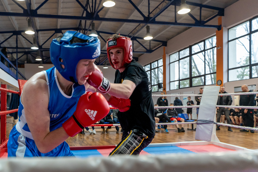 Elbląg, Tygrysy przed sezonem