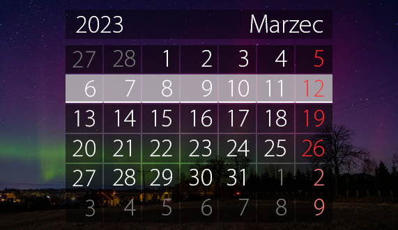 Elbląg, W tym tygodniu portEl poleca: rocznica z Piekarczykiem i spotkanie z sowami