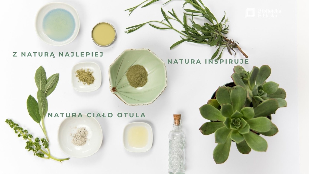 Elbląg, Zajęcia inspirowane naturą w bibliotece