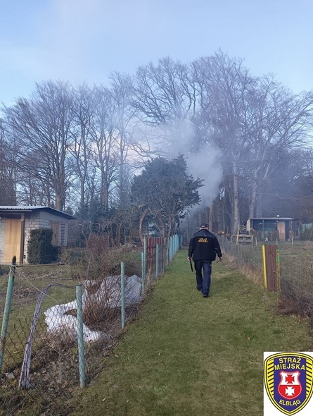 Elbląg, Przypomnienie o zakazie spalania odpadów zielonych