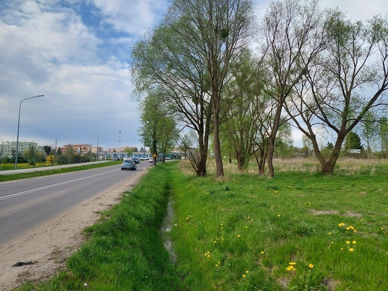 Elbląg, Miasto planuje na działce po prawej stronie ul. Fromborskiej zbudować drogę