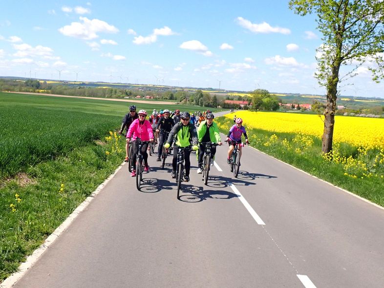 Elbląg, Rowerami na Lisią Górę Elbląg, Rowerami na Lisią Górę
