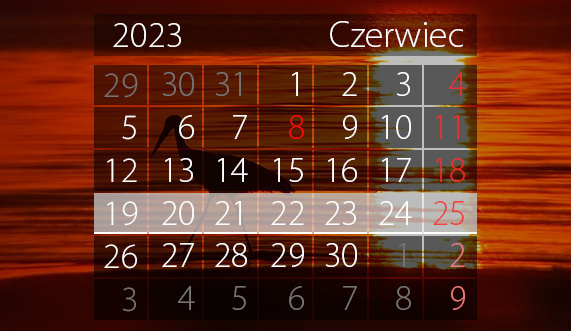 Elbląg, W tym tygodniu portEl poleca: Dni Elbląga, plener fotograficzny i wernisaż