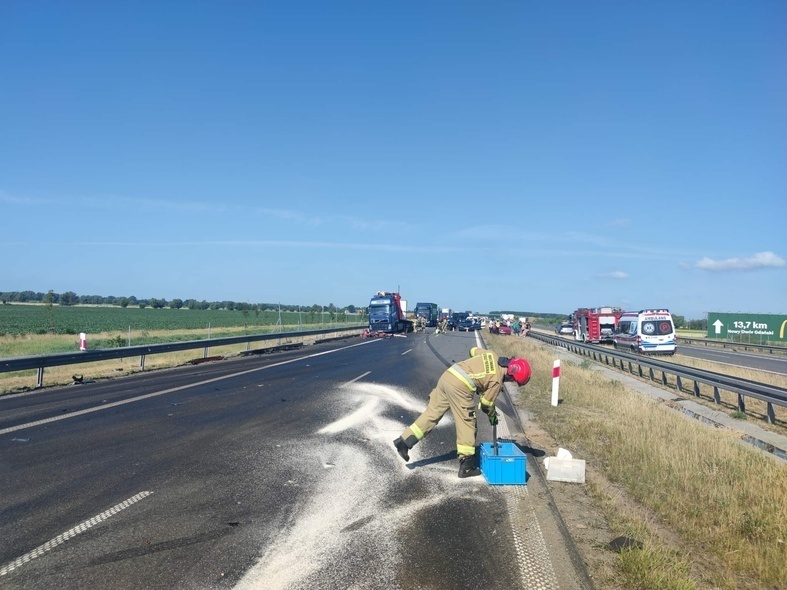 Elbląg, Zderzenie ciężarówek na S7. Jeden z kierowców trafił do szpitala
