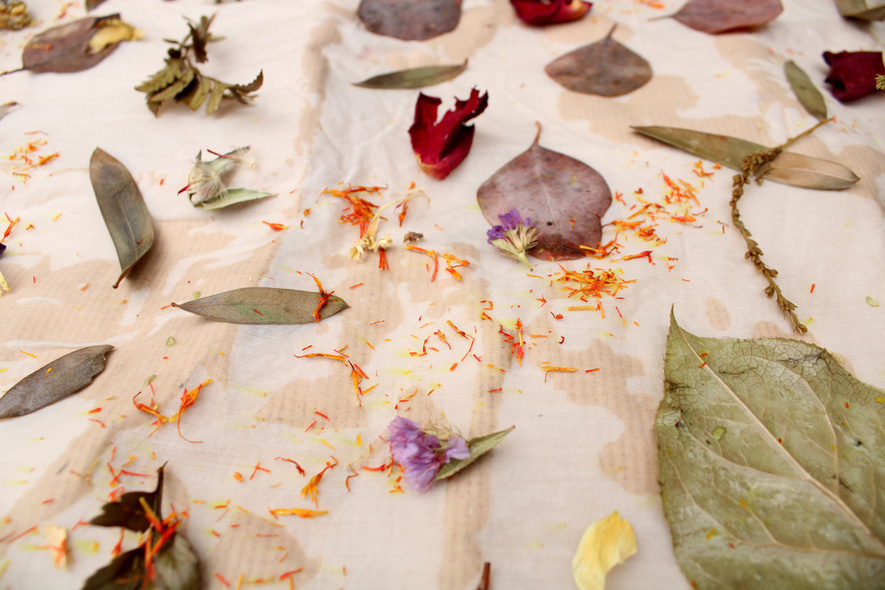 Elbląg, Warsztaty druku botanicznego