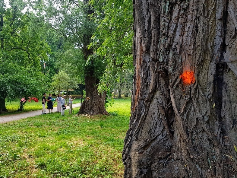 Elbląg, Czerwcowa wizja lokalnia, Elbląg, Czerwcowa wizja lokalnia,