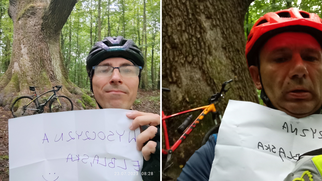 Elbląg, Oni dojechali do dębu Hoggo