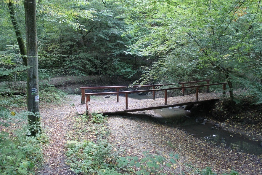 Elbląg, Tropem bażanta z przewodnikiem Elbląg, Tropem bażanta z przewodnikiem