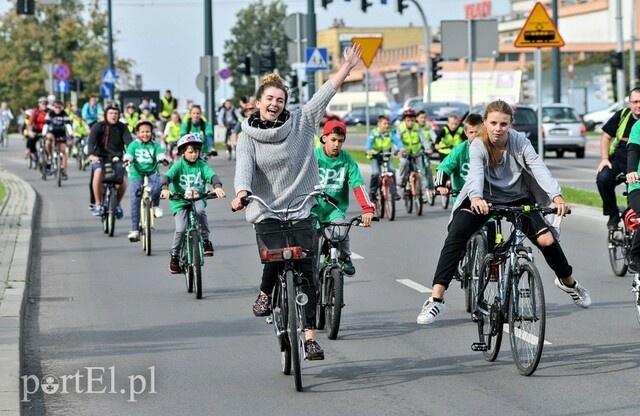 Elbląg, Czas na quiz. Elbląg na rowerze