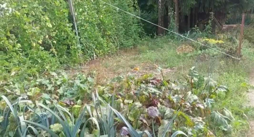 Elbląg, Ogródek, czyli działalność rolnicza w Karczowiskach Górnych,