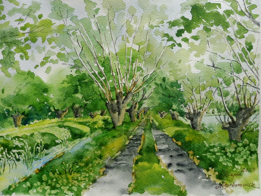 Elbląg, Do drzew mi po drodze - wernisaż wystawy Lucyny Niepokorowicz