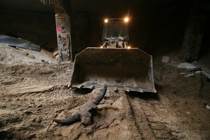 Elbląg, Korzenie miasta. O wynikach badań archeologicznych prowadzonych przy budowie II linii metra w Warszawie Elbląg, Korzenie miasta. O wynikach badań archeologicznych prowadzonych przy budowie II linii metra w Warszawie