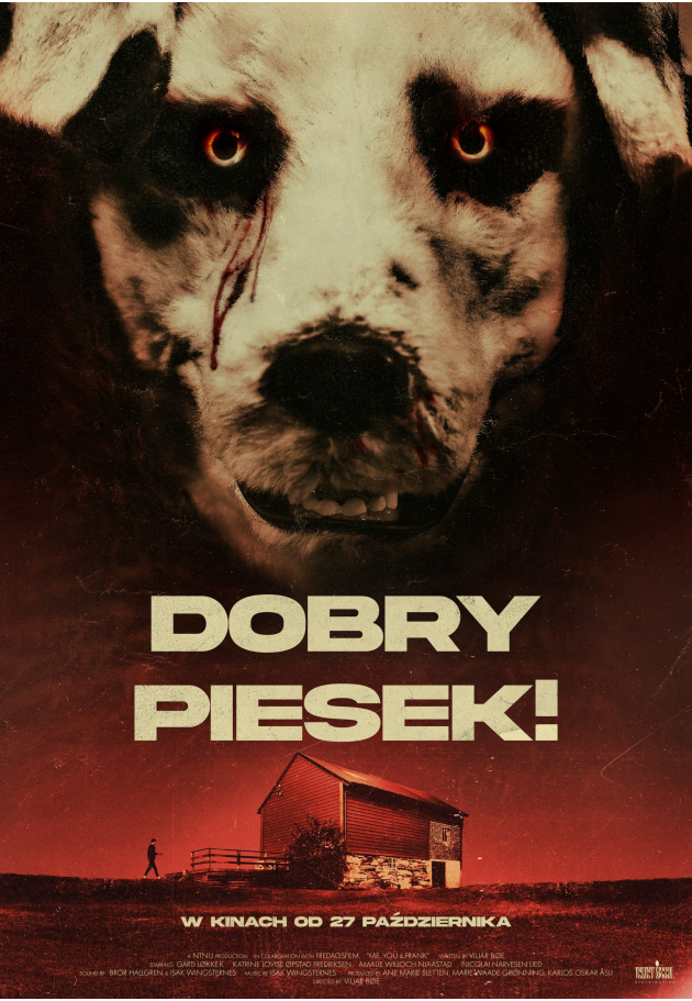 Elbląg, "Dobry piesek!" w Kinie Światowid