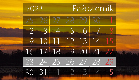 Elbląg, W tym tygodniu portEl poleca: Kajko i Kokosz w Muzeum, warsztaty DIY i parkrun Elbląg, W tym tygodniu portEl poleca: Kajko i Kokosz w Muzeum, warsztaty DIY i parkrun