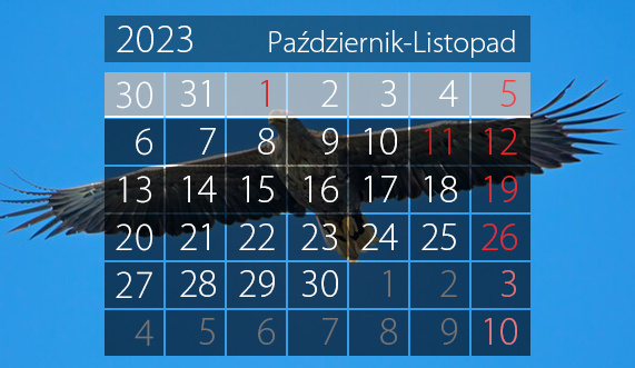 Elbląg, W tym tygodniu portEl poleca: Halloween w Galerii EL, parkrun i wystawy Elbląg, W tym tygodniu portEl poleca: Halloween w Galerii EL, parkrun i wystawy