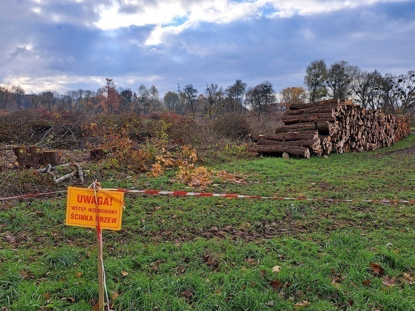 Elbląg, Pod budowę energetycznej linii kablowej wycięto drzewa i krzewy