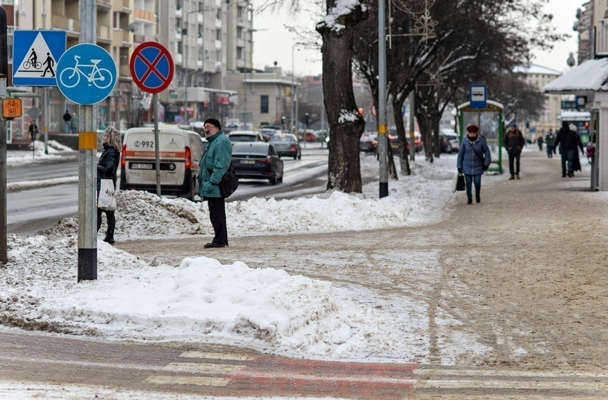 Elbląg, Gdzie się zaszczepić na "krakena" w Elblągu Elbląg, Gdzie się zaszczepić na "krakena" w Elblągu