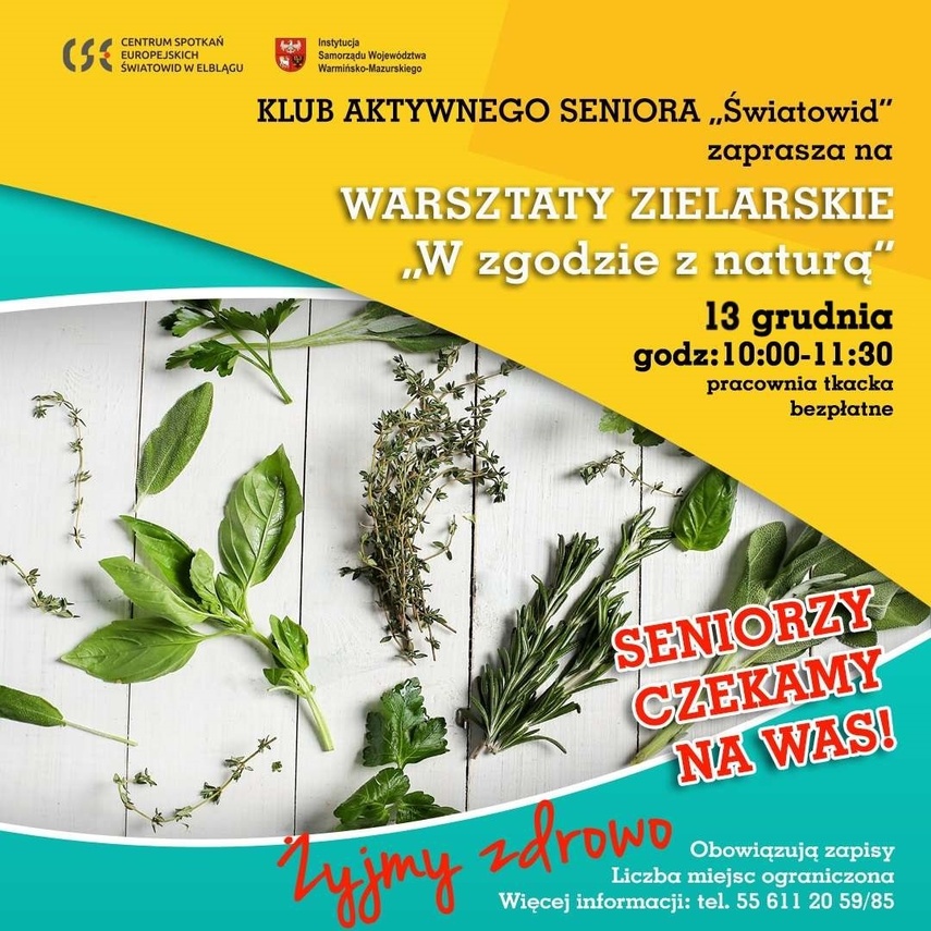 Elbląg, Warsztaty zielarskie dla seniorów Elbląg, Warsztaty zielarskie dla seniorów