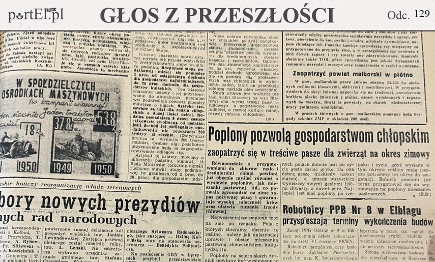 Elbląg, Głos Wybrzeża nr 183, 1950 r.