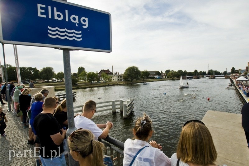 Elbląg, 2015 rok - pierwsze zawody pływackie w rzece - Enduroman