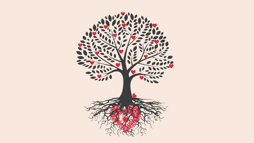 Elbląg, Zaprojektuj swoje dobre życie Elbląg, Zaprojektuj swoje dobre życie