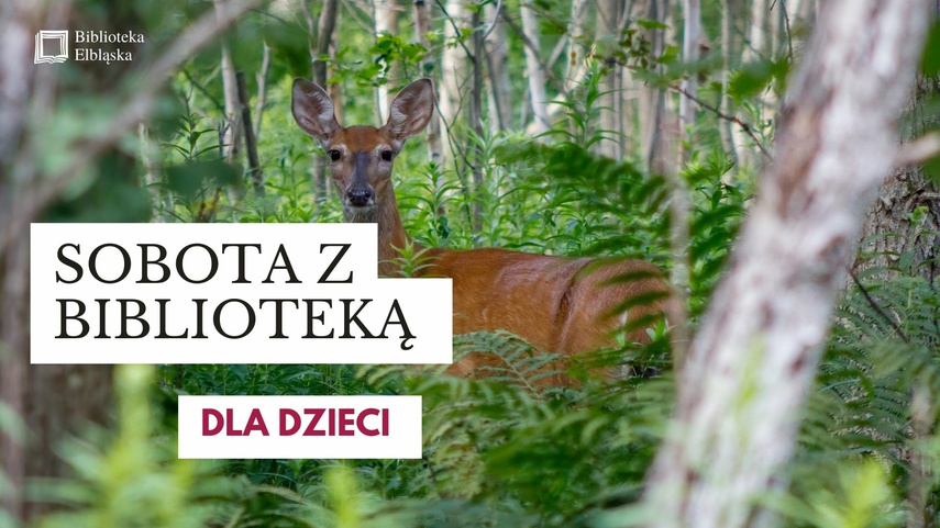 Elbląg, Sobota z Biblioteką Elbląską Elbląg, Sobota z Biblioteką Elbląską
