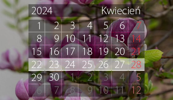 Elbląg, W tym tygodniu portEl poleca: Kino bez barier, Turniej Tańca Sportowego i tango z EOK