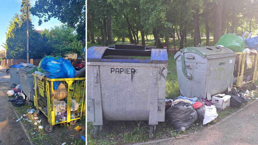 Elbląg, Śmietnik w zabytkowej parkowej scenerii