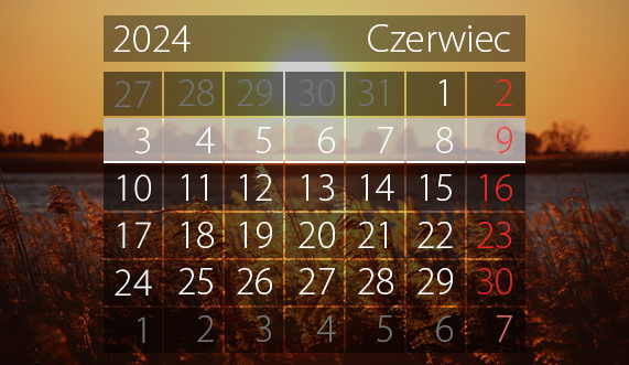 Elbląg, W tym tygodniu portEl poleca: wybory, Bieg Piekarczyka i Festiwal Organowy