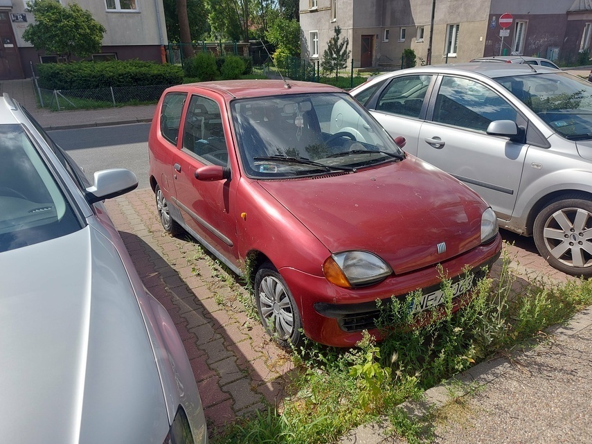 Elbląg, Auto zarastające roślinnością na ul. Słonecznej,