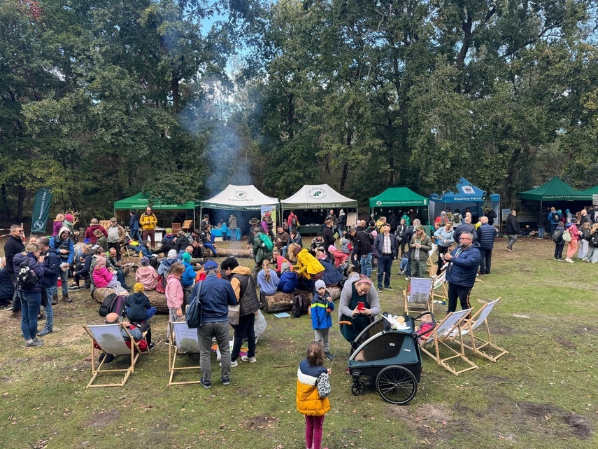 Elbląg, Ptasi weekend za nami