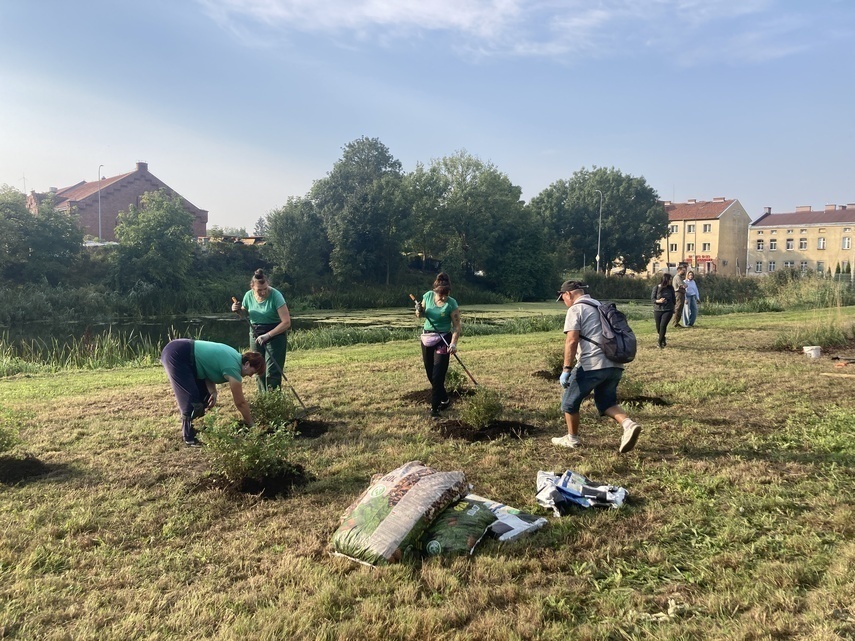 Elbląg, Ostatnie prace związane z utworzeniem Zielonego Zakątka,