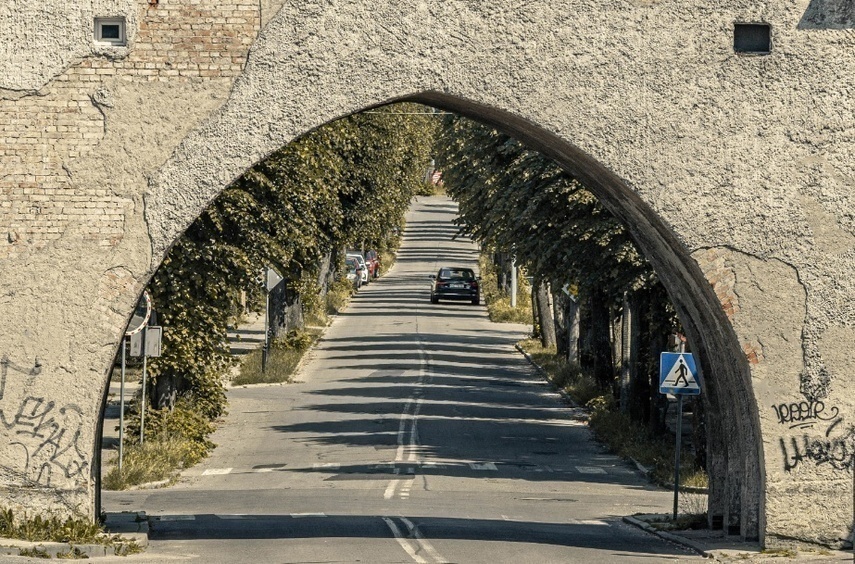 Elbląg, Konkurs Fotka Miesiąca czerwca 2024,