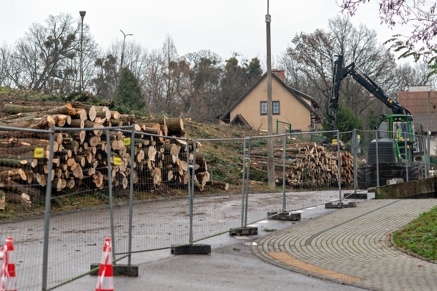 Elbląg, Były drzewa i krzewy, będzie fotowoltaika