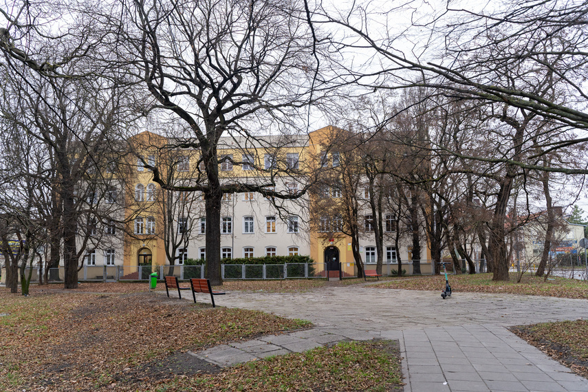 Elbląg, Mini park przy III LO?