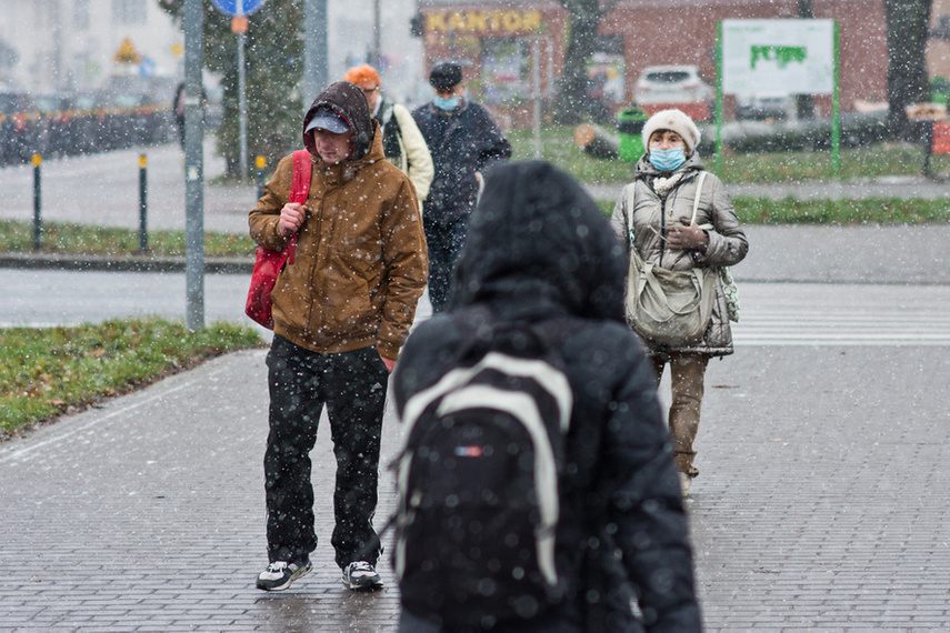 Elbląg, Lokalny krajobraz zakaźny minionego roku