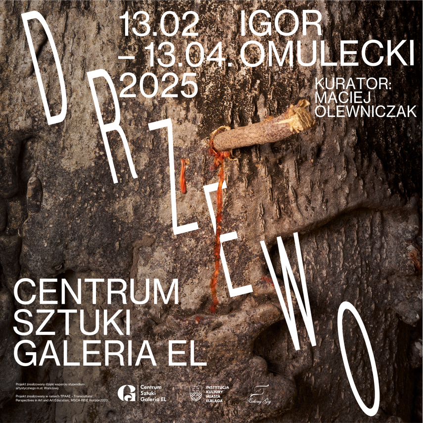 Elbląg, Drzewo Igora Omuleckiego w Galerii EL Elbląg, Drzewo Igora Omuleckiego w Galerii EL