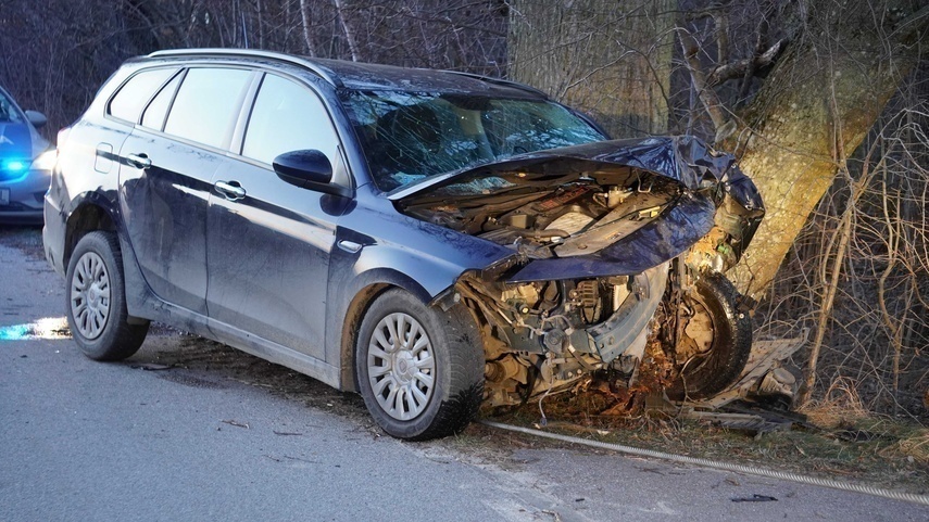 Elbląg, Kierowca fiata wjechał w drzewo Elbląg, Kierowca fiata wjechał w drzewo