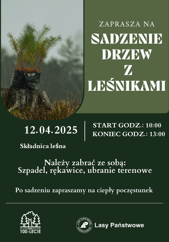 Elbląg, Posadź drzewo z leśnikami Elbląg, Posadź drzewo z leśnikami