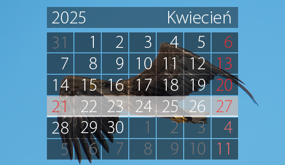 Elbląg, Graf. Andrzej Kraśkiewicz Elbląg, Graf. Andrzej Kraśkiewicz