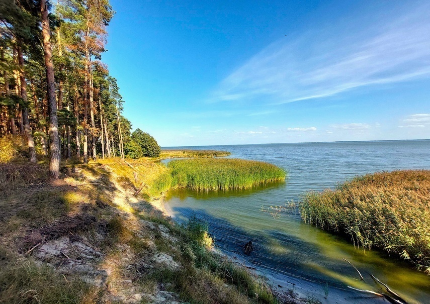 Elbląg, Zalew Wiślany w okolicach miejscowości Piaski, Elbląg, Zalew Wiślany w okolicach miejscowości Piaski,