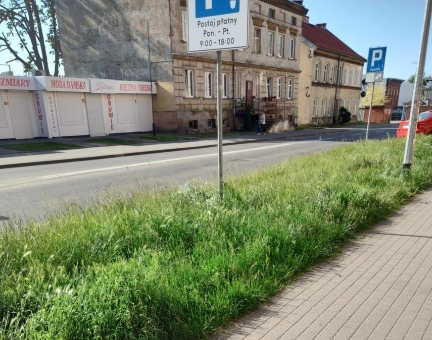 Elbląg, Do sytuacji, jak mówi Czytelniczka, doszło w tym miejscu na ul. Żeromskiego, Elbląg, Do sytuacji, jak mówi Czytelniczka, doszło w tym miejscu na ul. Żeromskiego,