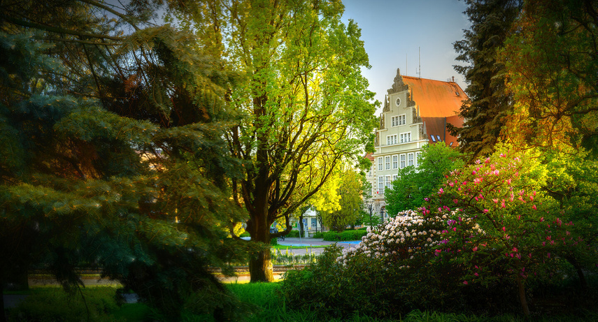 Elbląg, Sąd Okręgowy w Elblągu z przyrodniczej perspektywy (Zdjęcie z konkursu Fotka Miesiąca, maj 2025, autor Martinez72) Elbląg, Sąd Okręgowy w Elblągu z przyrodniczej perspektywy (Zdjęcie z konkursu Fotka Miesiąca, maj 2025, autor Martinez72)