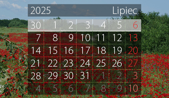 Elbląg, W tym tygodniu portEl poleca: Otwarcie kąpieliska, salon muzyczny i święto wiatru