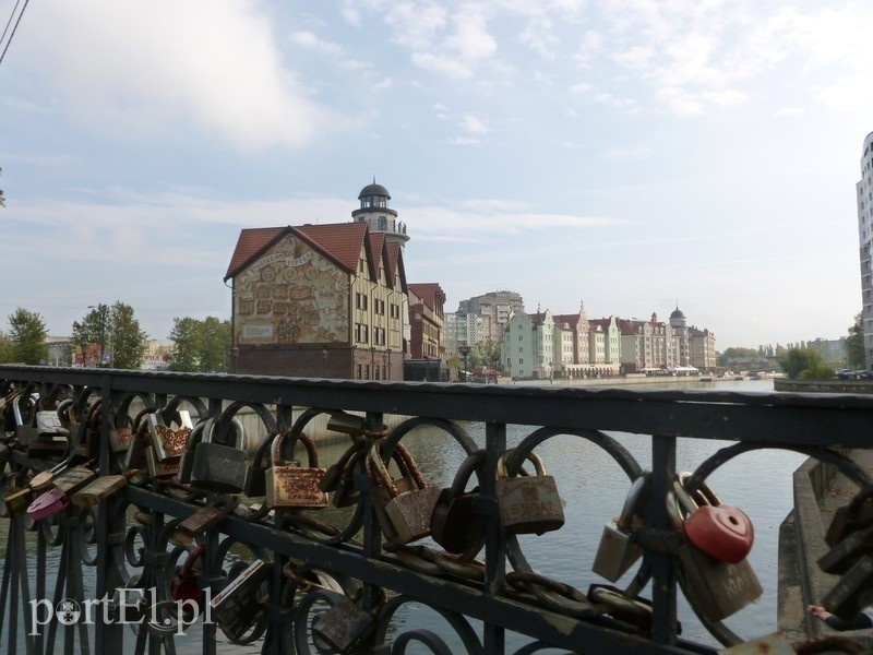 Elbląg, Królewiec. Elbląg, Królewiec.